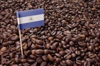 Café Maragogype Nicaragua